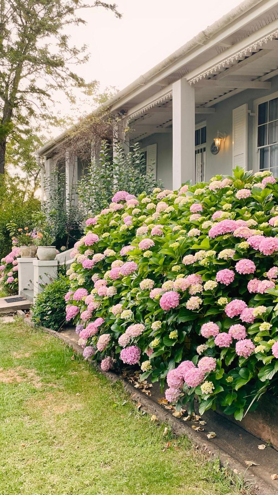 Rosehaven Cottage Swellendam Exterior foto